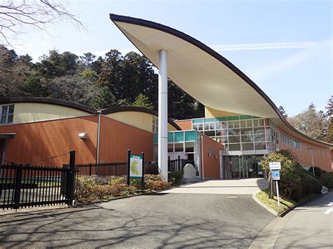 東北 植物|東北大学植物園